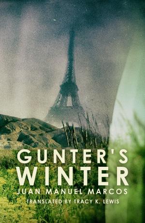 Cover of the book Gunter's Winter by Jane Burdiak