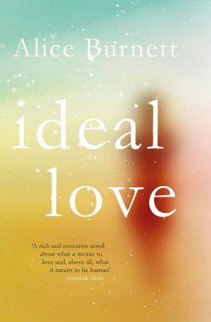 Cover of the book Ideal Love by Clár Ní Chonghaile