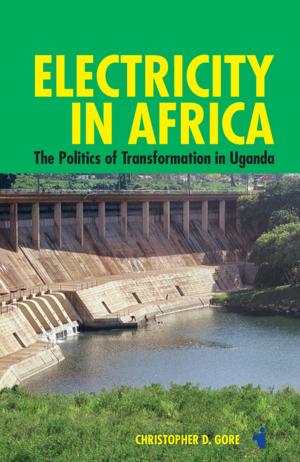 Cover of the book Electricity in Africa by Dirk Göttsche