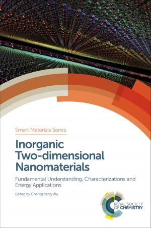 Book cover of Inorganic Two-dimensional Nanomaterials
