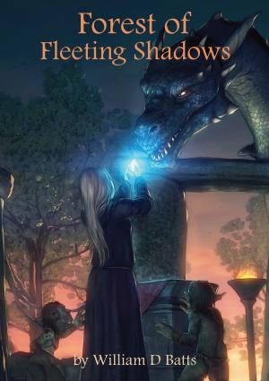 Cover of the book Forest of Fleeting Shadows by David M. Sindall