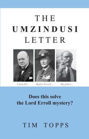 Cover of the book The Umzindusi Letter by Patrick Moon