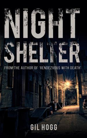 Cover of the book Night Shelter by Jim Pinnells