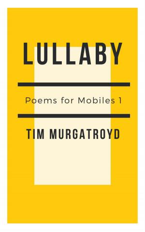 Cover of the book Lullaby by David M. Sindall