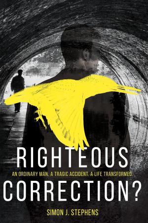 Cover of the book Righteous Correction? by Robert Fallon