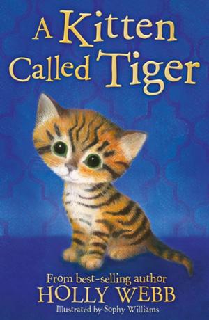 Book cover of A Kitten Called Tiger