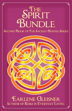 Cover of the book The Spirit Bundle by R.F. Kristi