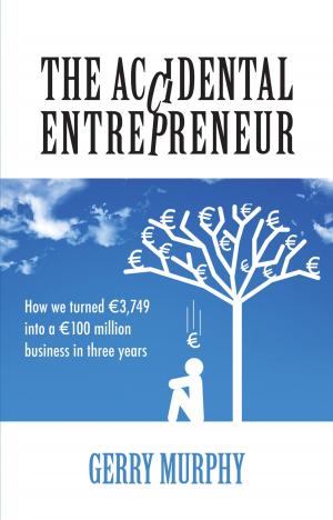Cover of the book The Accidental Entrepreneur by Brendan McManus