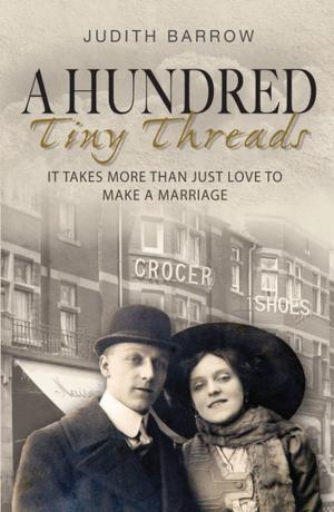 Cover of the book A Hundred Tiny Threads by Eiluned Lewis