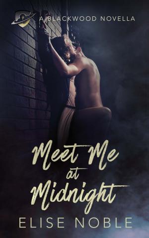 Cover of the book Meet Me at Midnight by Micah Watson