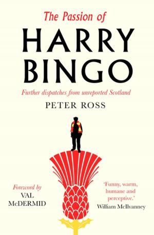 Book cover of The Passion of Harry Bingo