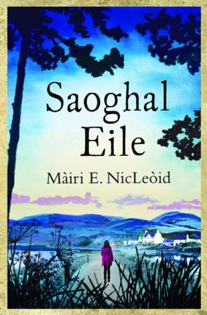 Cover of the book Saoghal Eile (Another World) by Andrew Gretes