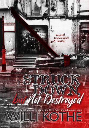 Cover of the book Struck Down, but Not Destroyed by Paul A. Rader and Kay F. Rader