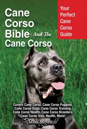 Cover of the book Cane Corso Bible And The Cane Corso by Mark Manfield