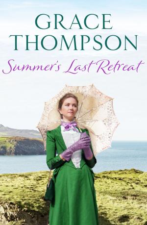 Cover of the book Summer's Last Retreat by Wayne Ryder