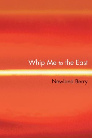 Cover of Whip Me To The Eaast
