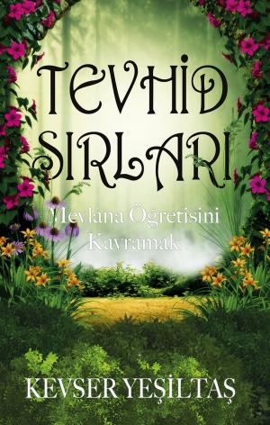 Cover of the book Tevhid Sırları by Janet Adler