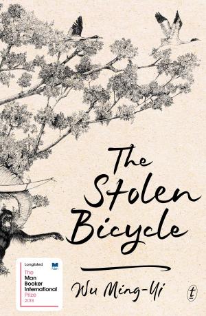 bigCover of the book The Stolen Bicycle by 