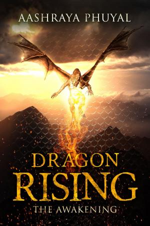 Cover of the book Dragon Rising by James Parker