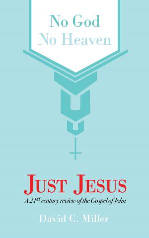 Cover of the book No God, No Heaven, Just Jesus by Erika Kochanski