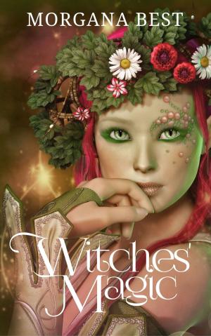Cover of the book Witches' Magic by Francesco Zampa, Sergio Pergolini (copertinista)