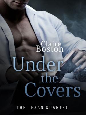 Book cover of Under the Covers