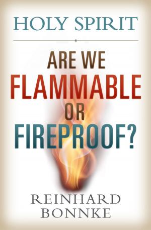 Book cover of Holy Spirit Are We Flammable or Fireproof?