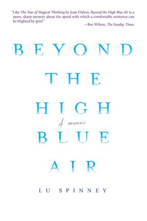 Cover of the book Beyond the High Blue Air by Peter Orner