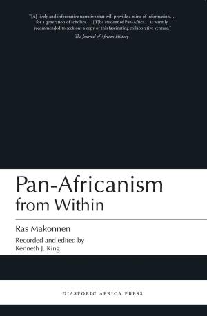 Cover of the book Pan-Africanism from Within by Erick Tilleman