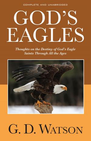 Cover of the book God's Eagles by Sophie de la Haye