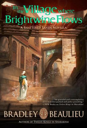 Cover of the book In the Village Where Brightwine Flows by Michael McClung
