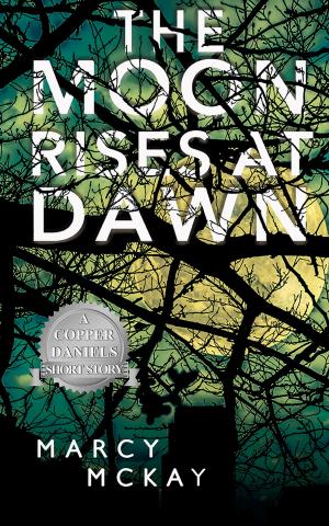 Cover of The Moon Rises at Dawn