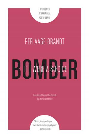 Cover of the book If I Were a Suicide Bomber by Maria José Silveira