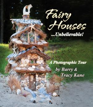 Cover of Fairy Houses . . . Unbelievable!
