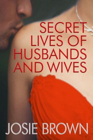 Book cover of Secret Lives of Husbands and Wives