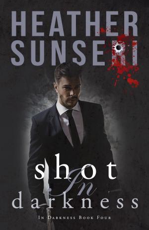 Cover of Shot in Darkness