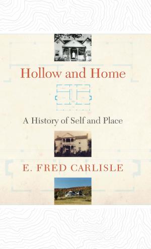 Book cover of Hollow and Home