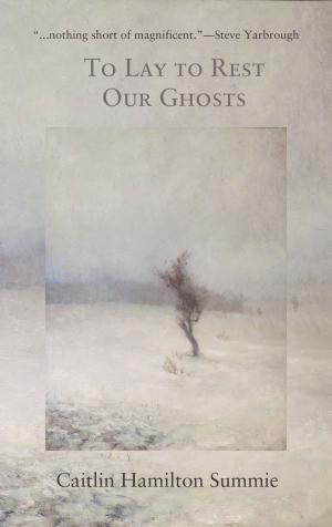 Cover of the book To Lay To Rest Our Ghosts by Marc Estrin