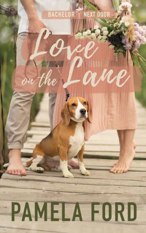 bigCover of the book Love on the Lane by 