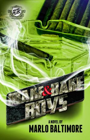 Cover of the book Wake & Bake Boys by Tiffani Murphy