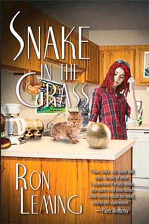 Cover of the book Snake in the Grass by Tara Campbell