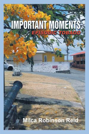 Cover of the book Important Moments by Dr. Theodore G. Pavlopoulos