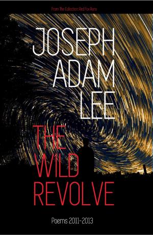 Cover of the book The Wild Revolve: Poems: 2011-2013 by J Christian Connett