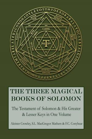 Book cover of The Three Magical Books of Solomon