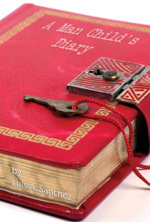 Book cover of A Man Child's Diary