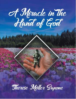 Cover of the book A Miracle in the Hand of God by Brenda Haynes Brown