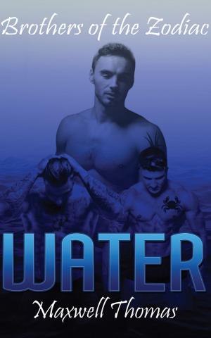 Book cover of Brothers of the Zodiac: Water