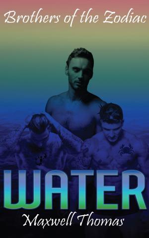 Book cover of Brothers of the Zodiac: Water (Prologue)