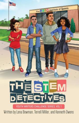 bigCover of the book The STEM Detectives by 