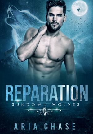 Book cover of Reparation